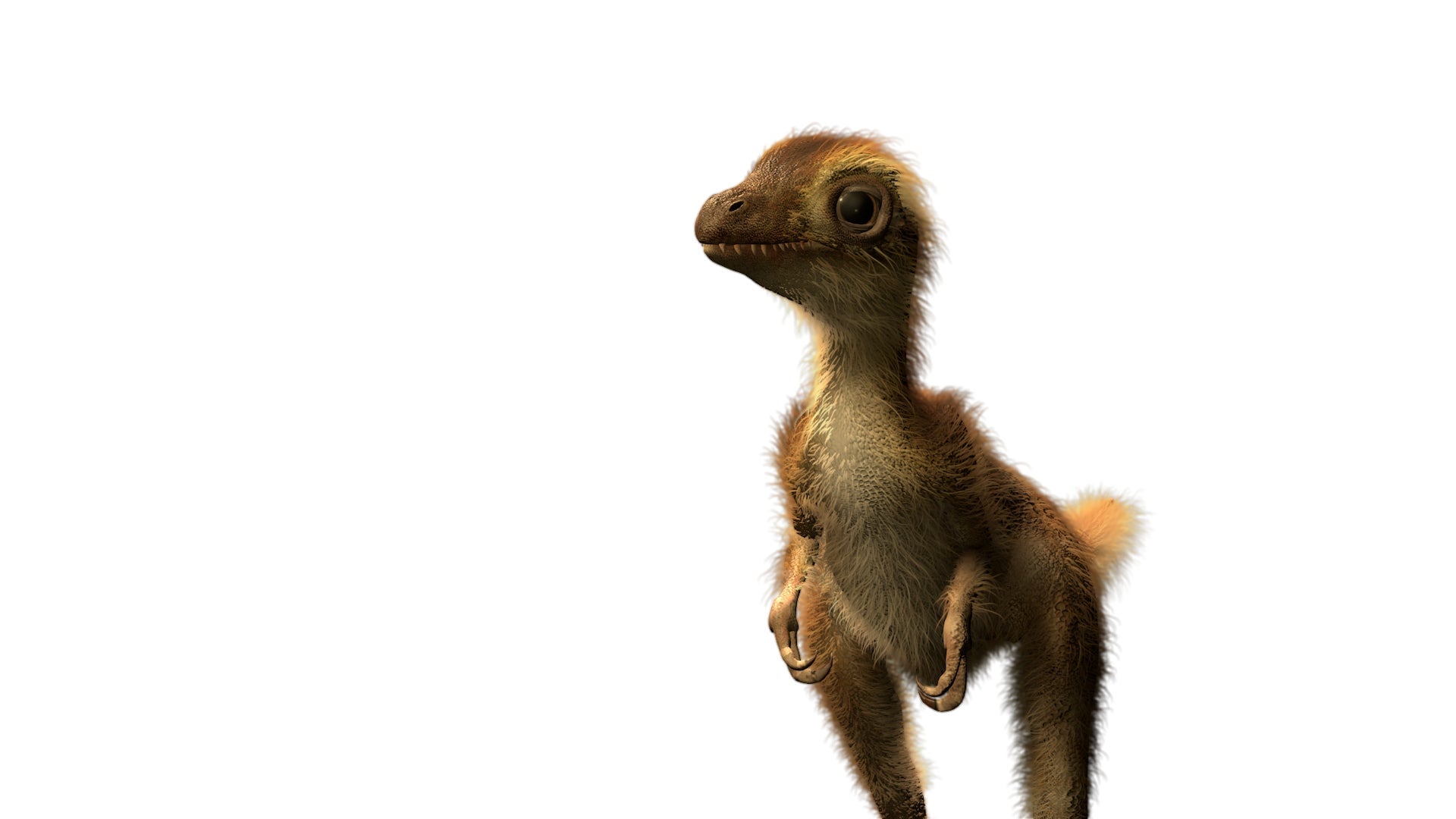 Ein T. rex junges. 