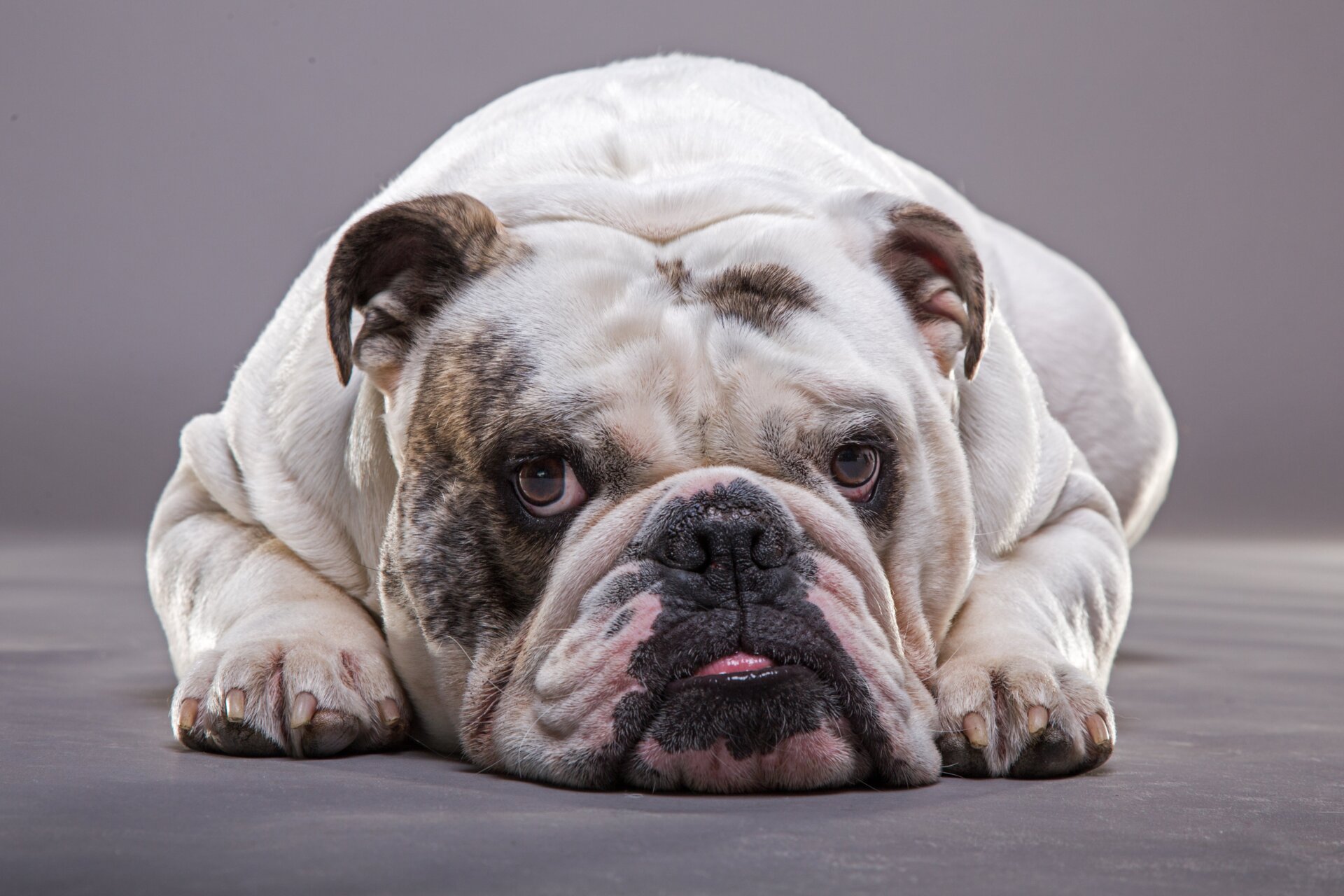 Image: Shutterstock