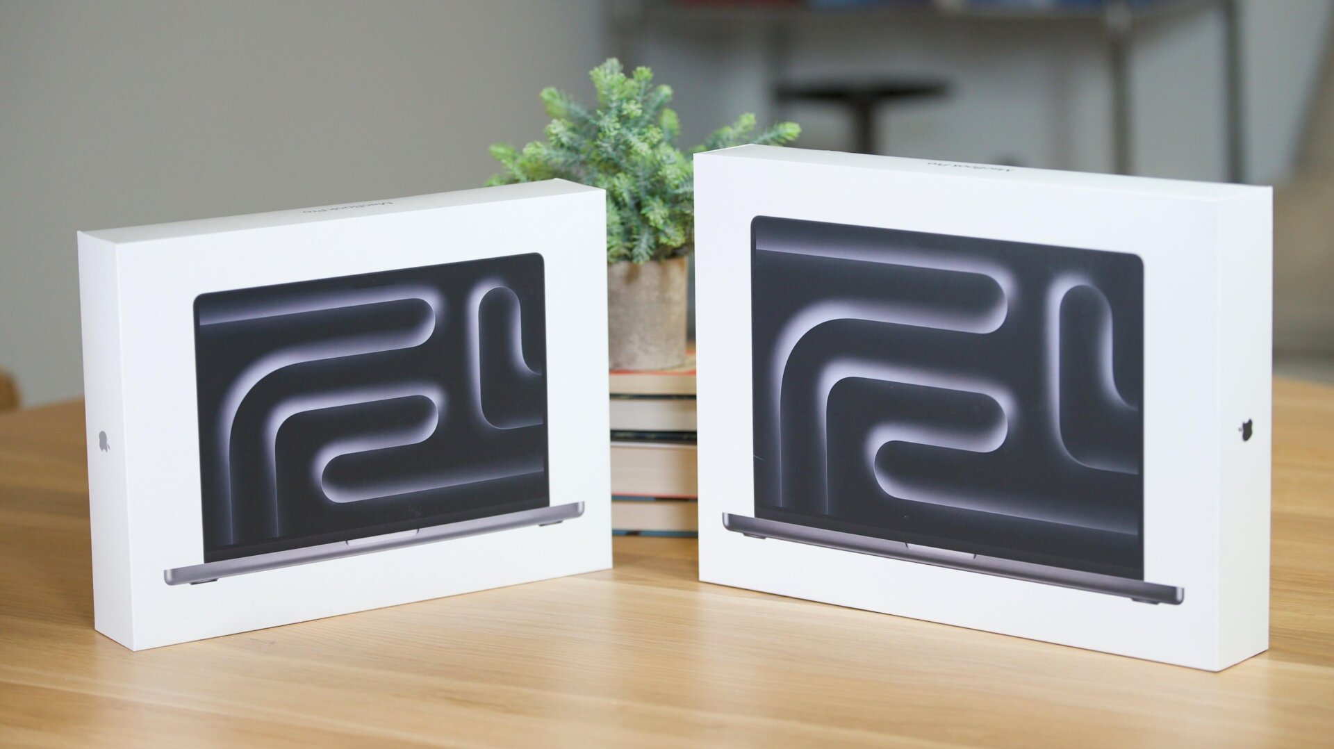 Photo: Angel Fajardo / Gizmodo