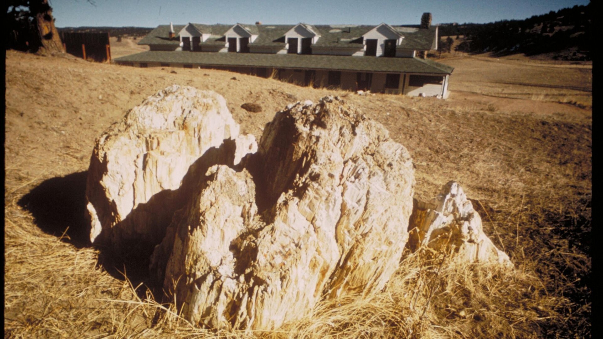 Ein versteinerter Mammutbaumstumpf am Nationaldenkmal.