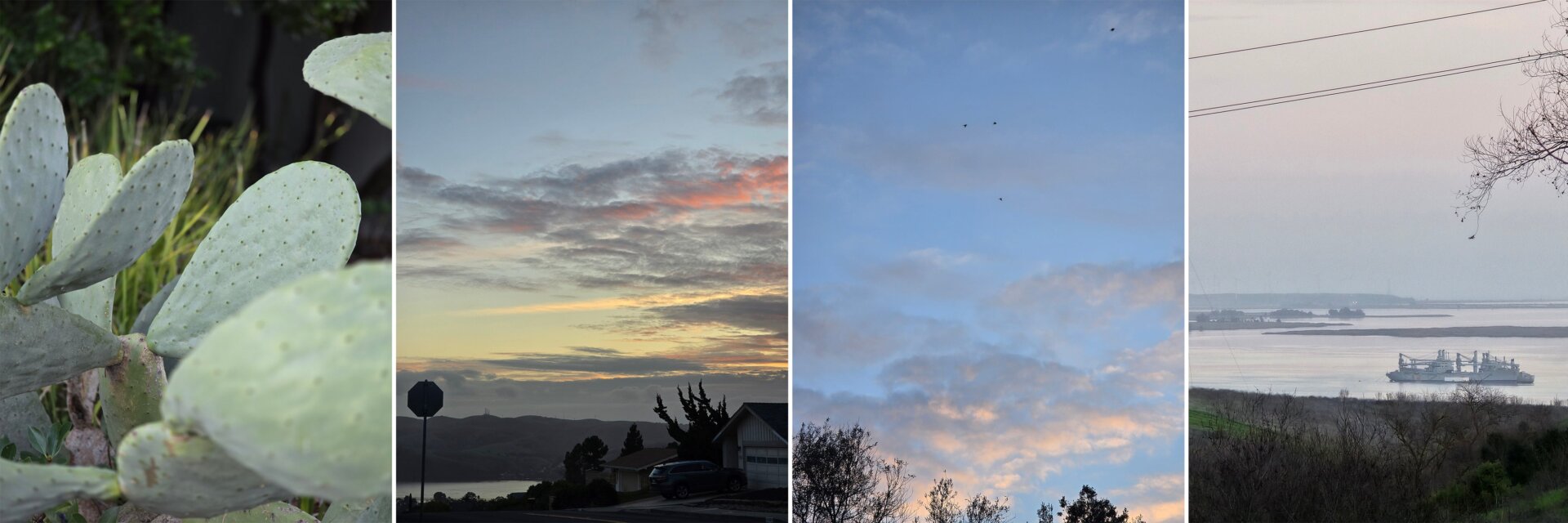 Mit dem Galaxy S24 Ultra wurden zahlreiche Kamerabeispiele aufgenommen. Zum Vergrößern klicken.