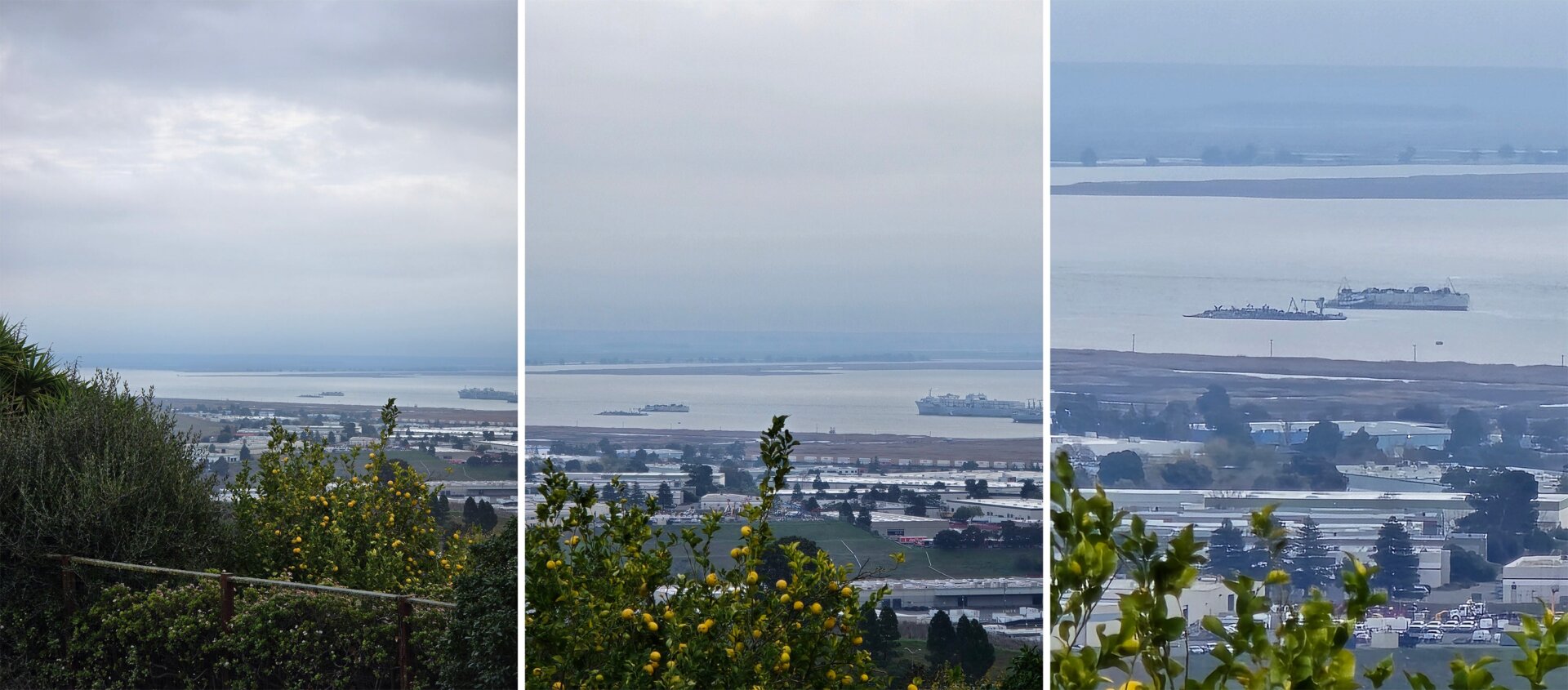 Das Galaxy S24 Ultra schießt mit 3-facher, 5-facher und dann 10-facher Vergrößerung.