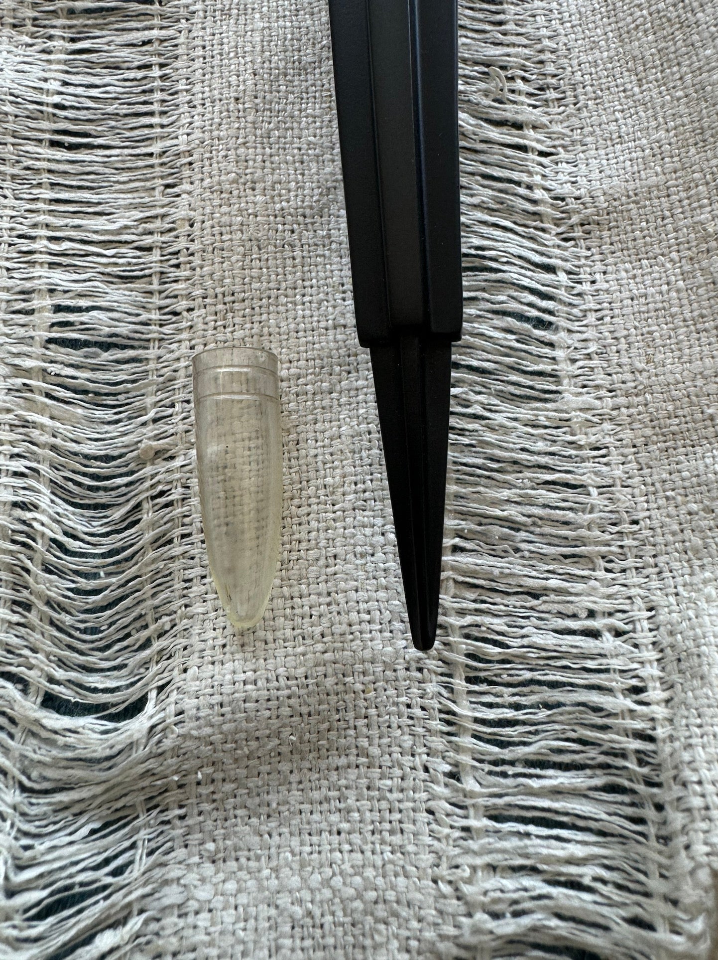 Photo: io9/Germain Lussier