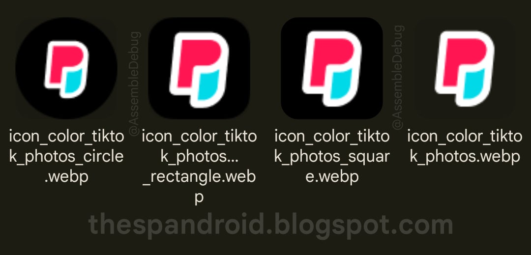 Die von AssembleDebug gefundenen Symbole für die TikTok-Fotos-App.