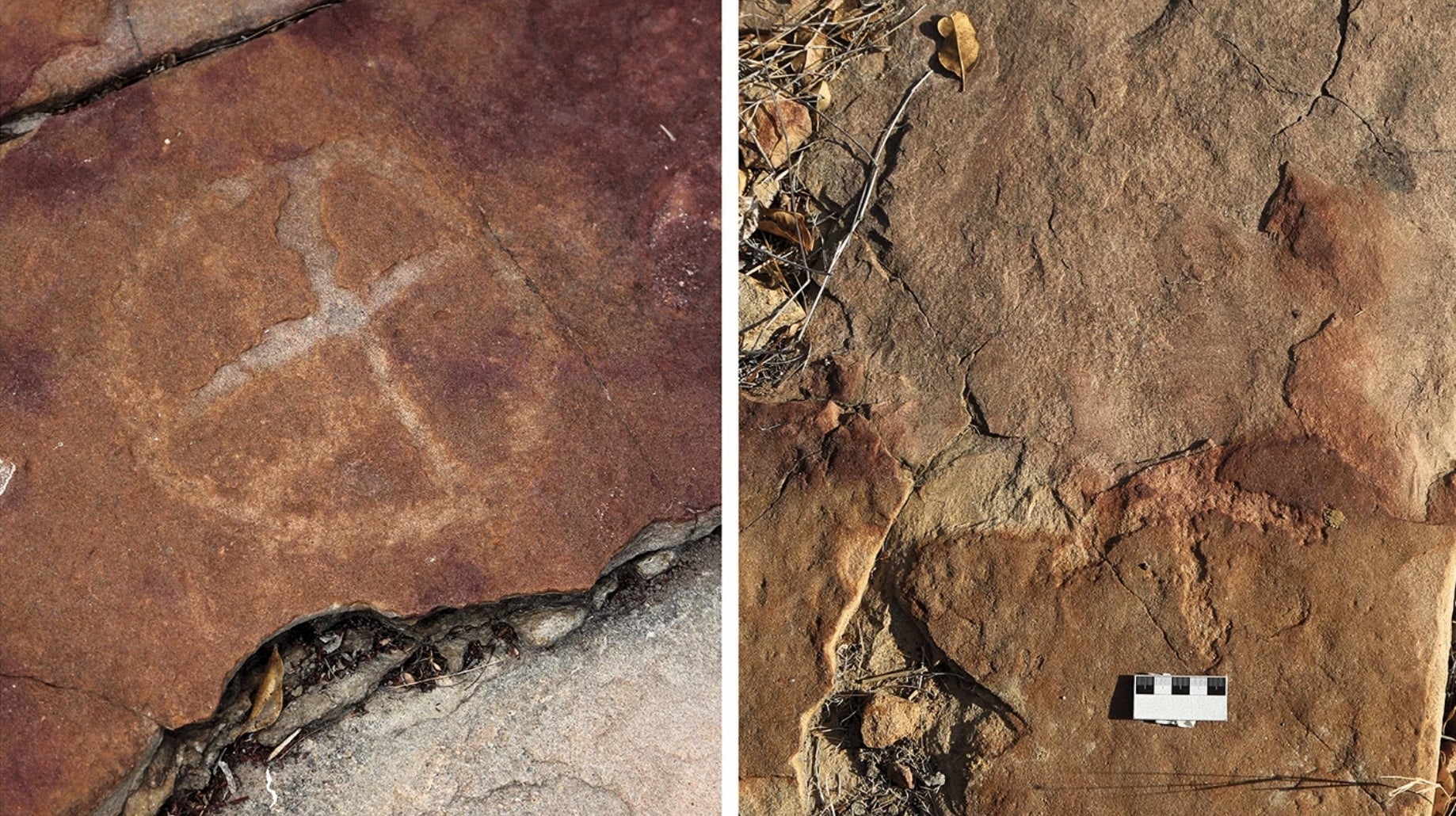 Eine Petroglyphe (links) und eine Spur eines Tridaktyl-Dinosauriers (rechts), beschädigt durch Bruch der Felswand.