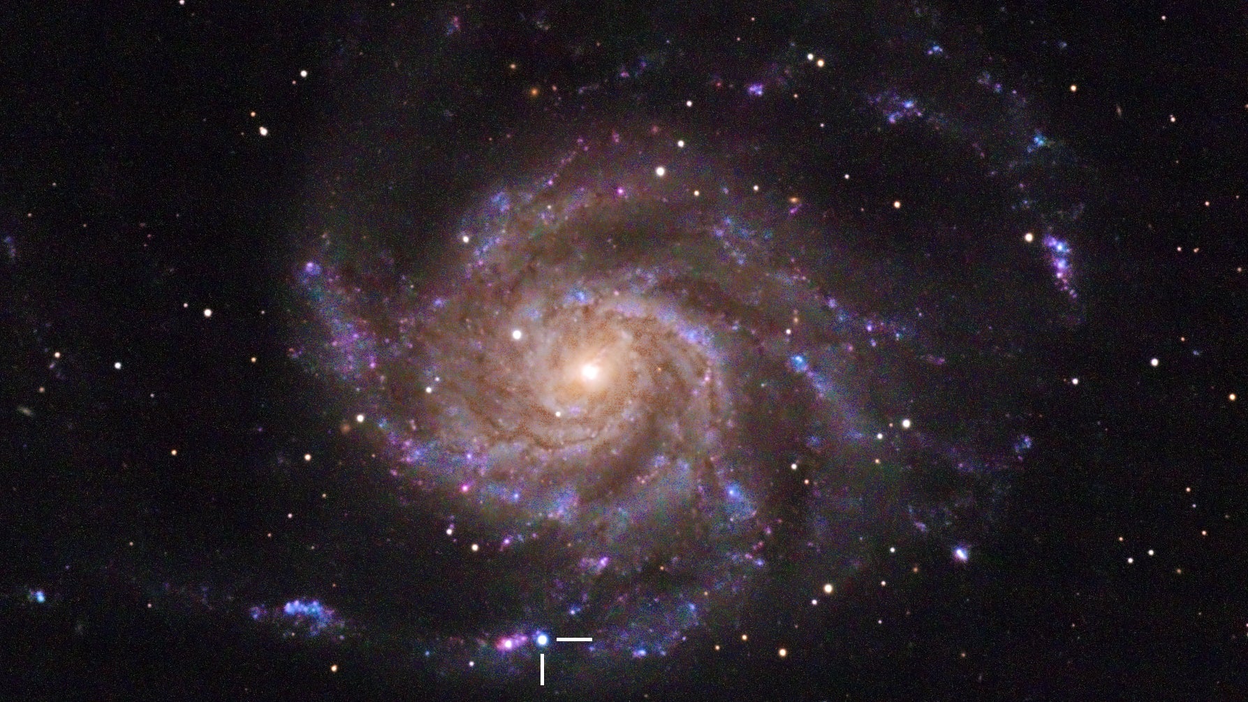 Die Windradgalaxie mit der Supernova SN 2023ixf, die unten als leuchtend blauer Punkt erkennbar ist.
