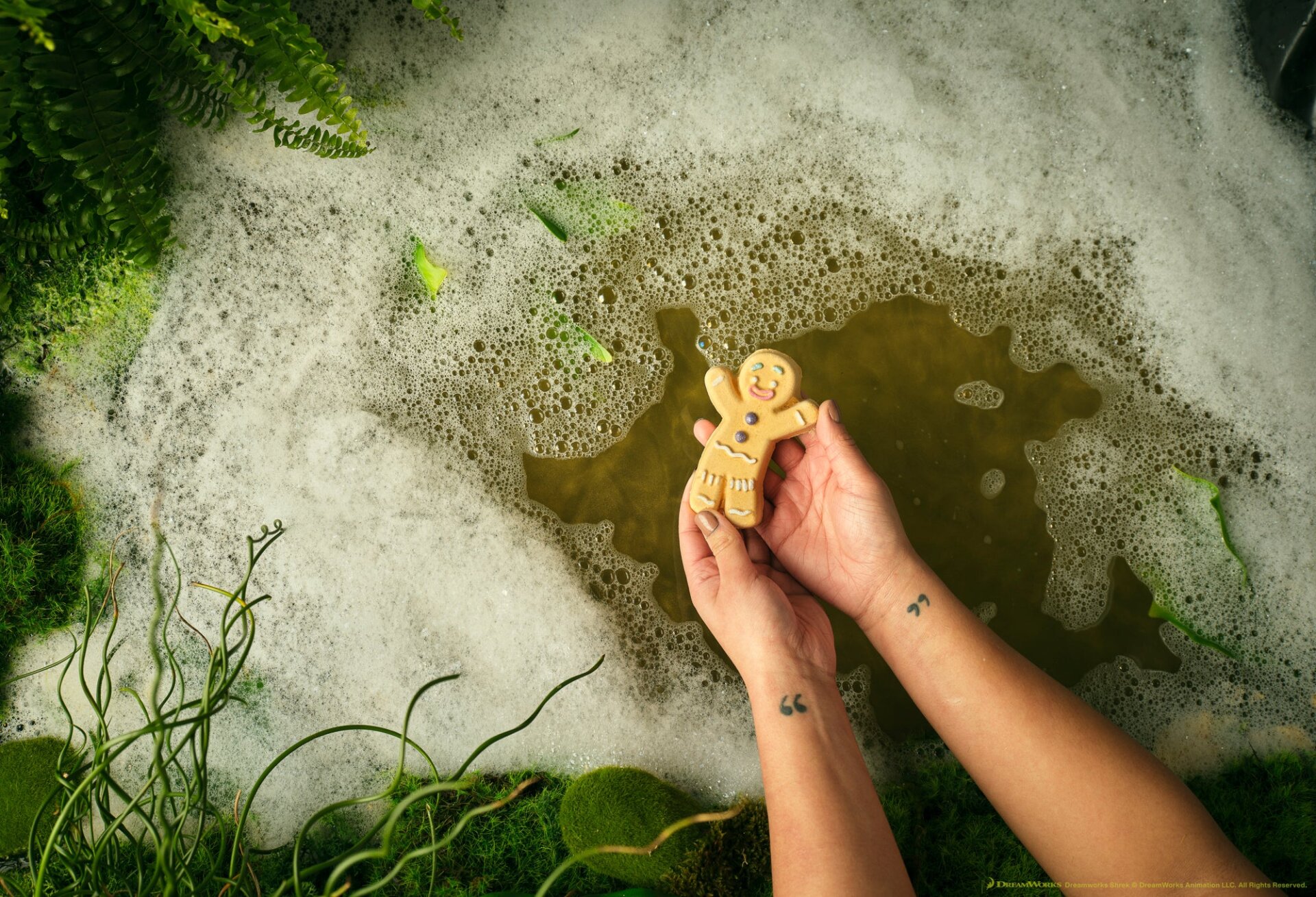 Image: Lush