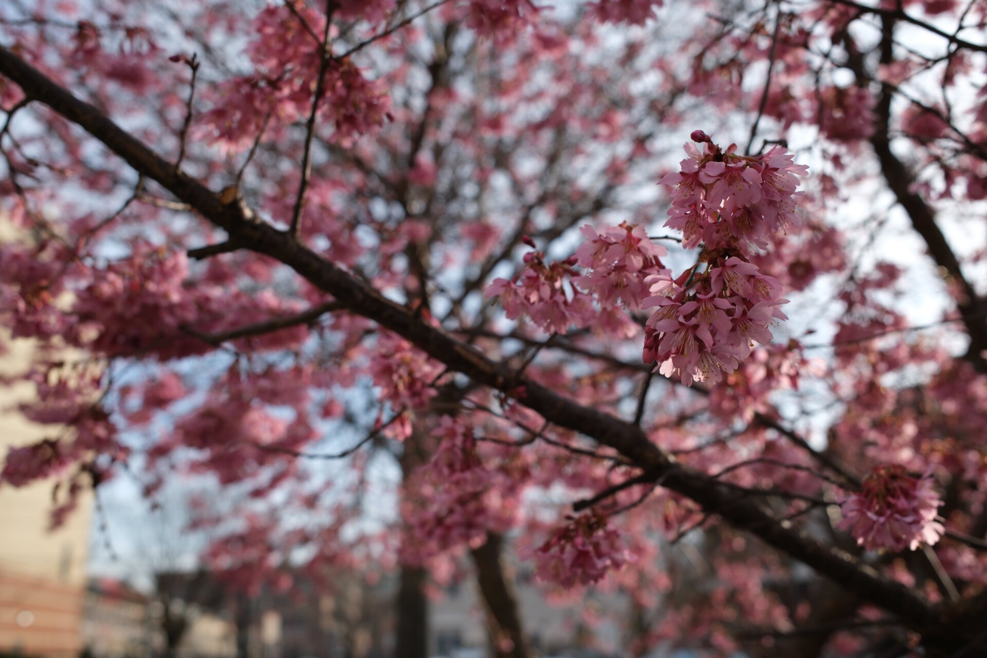 Photo: Kyle Barr / Gizmodo