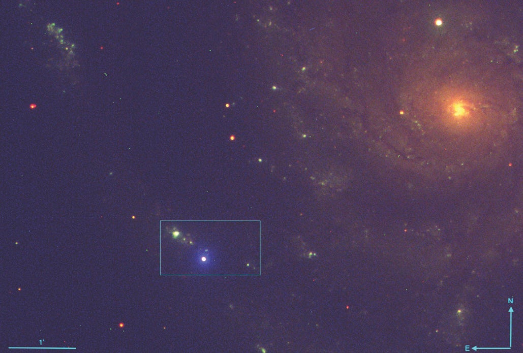 Ein zusammengesetztes Bild, das mit dem Liverpool-Teleskop aufgenommen wurde und die Supernova (hellblau) zeigt.