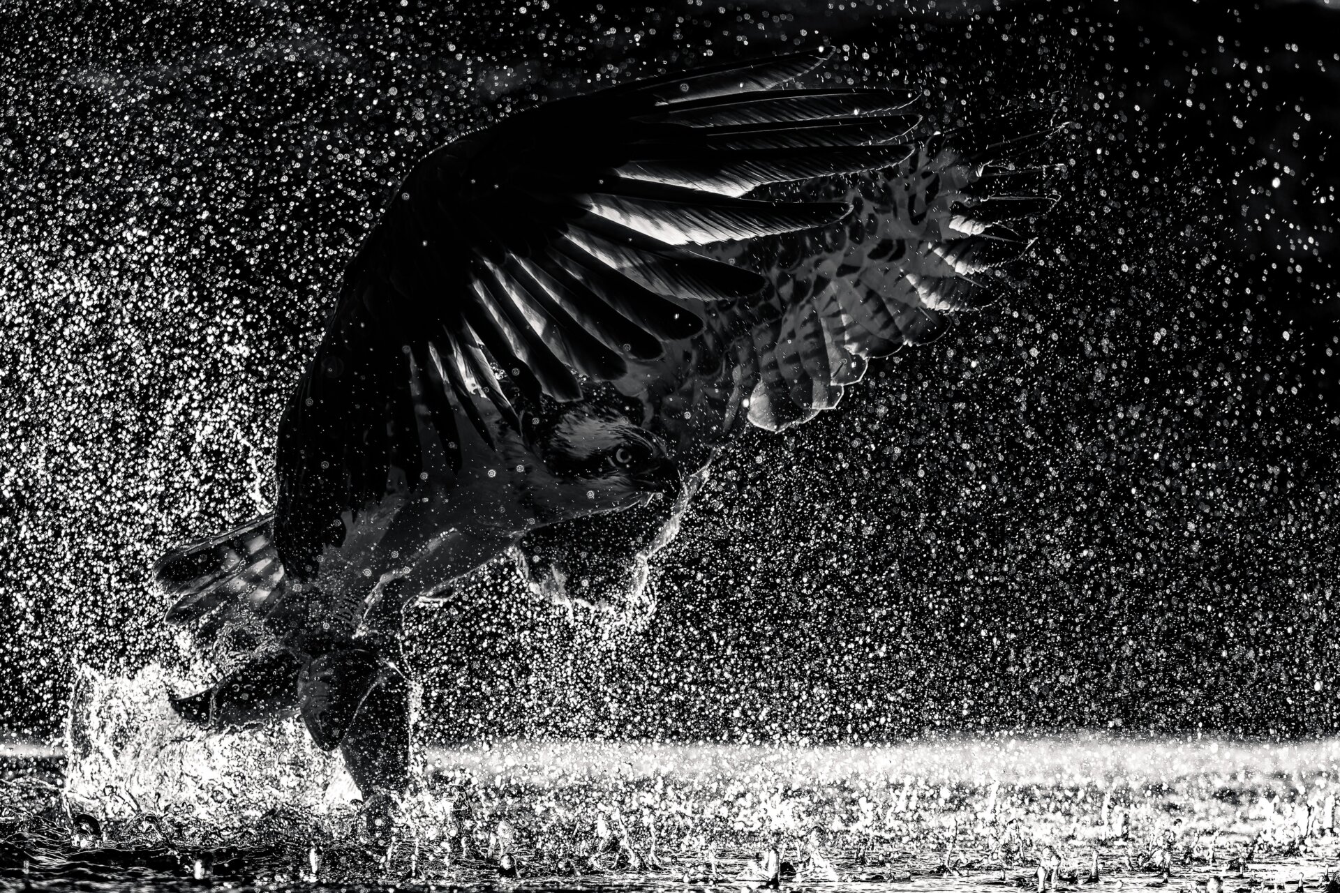 Photo: Tom Nickels