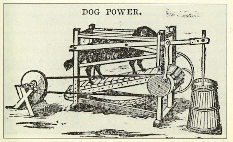 Werbung aus den 1850er Jahren, die eine Buttermaschine zeigt, die von einem Hund angetrieben wird