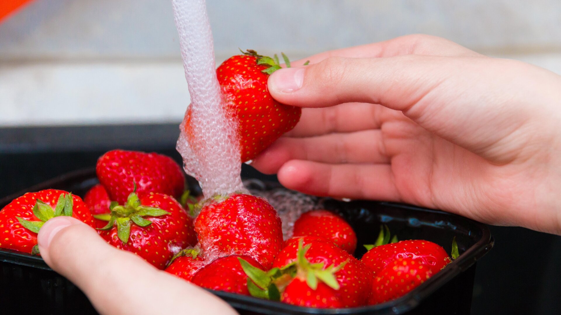 Erdbeeren werden unter fließendem Wasser gewaschen.