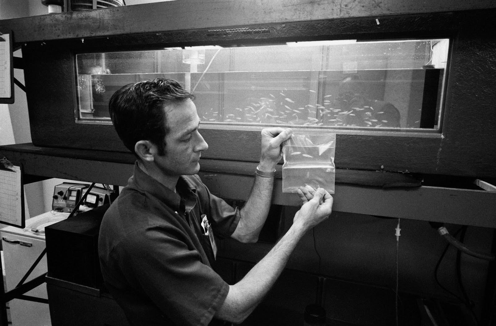 Der Wissenschaftler John Boyd hält einen Beutel mit zwei Mummichog-Minnows, die im Rahmen der Mission Skylab 3 von Juli bis September 1973 die ersten Fische im Weltraum waren.