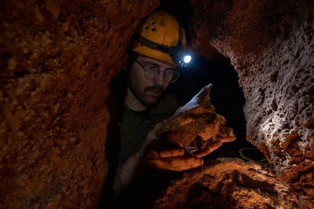 Tim Ziegler holt fossile Knochen aus der Nightshade-Höhle.