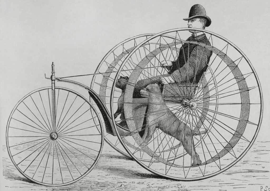 Illustration: Universal History Archive/Universal Images Group