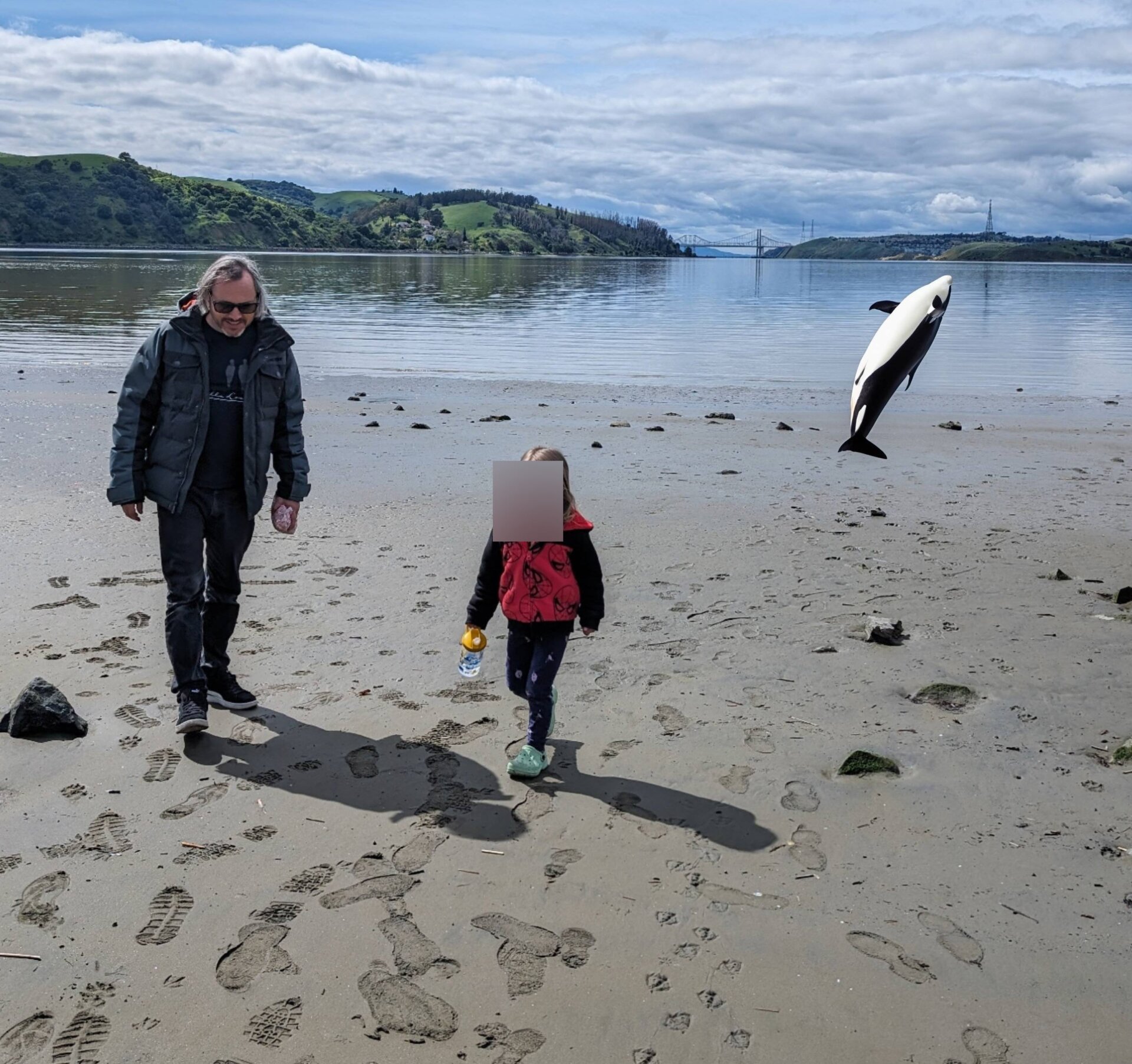 Wenn ich daran denke, dass Orcas aus dem Wasser springen, denke ich daran, dass sie das vom Strand aus tun. 