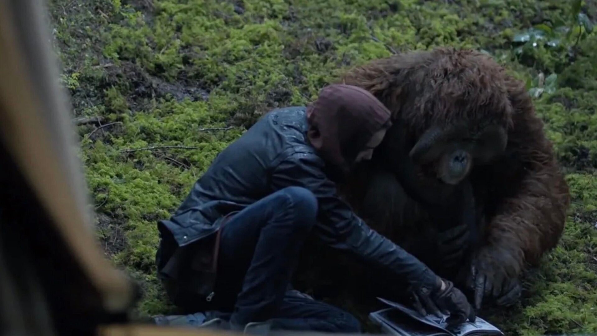 Was hätte sein können.