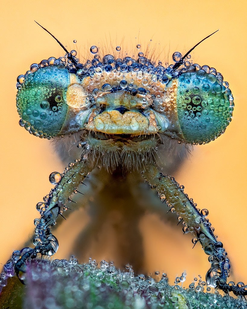 Image: © Pete Burford | cupoty.com