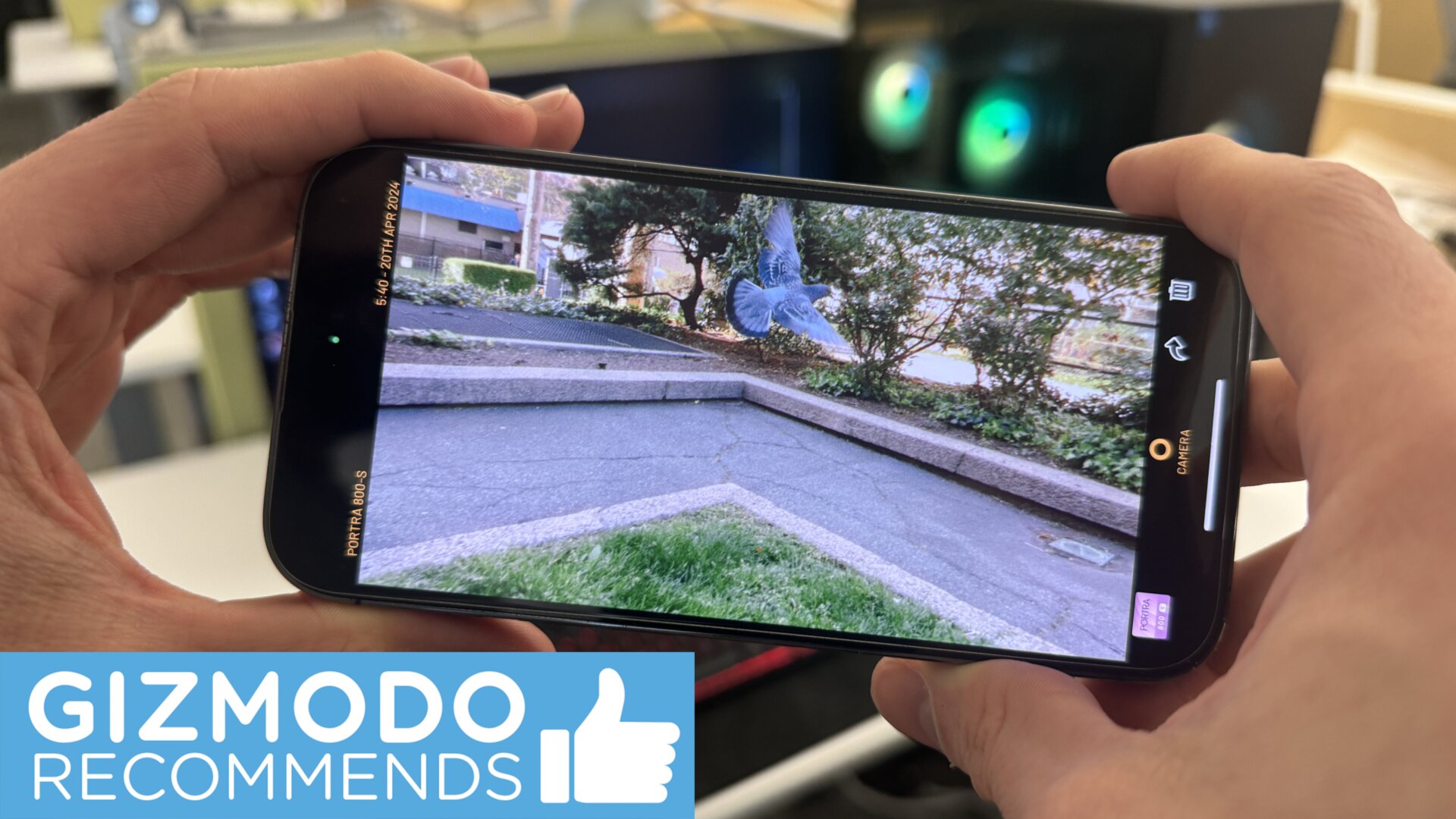 Einige der verschiedenen Filter in der Mood-App können weitaus subtiler sein als andere, aber sie können das Aussehen eines Fotos auch wirklich verbessern.