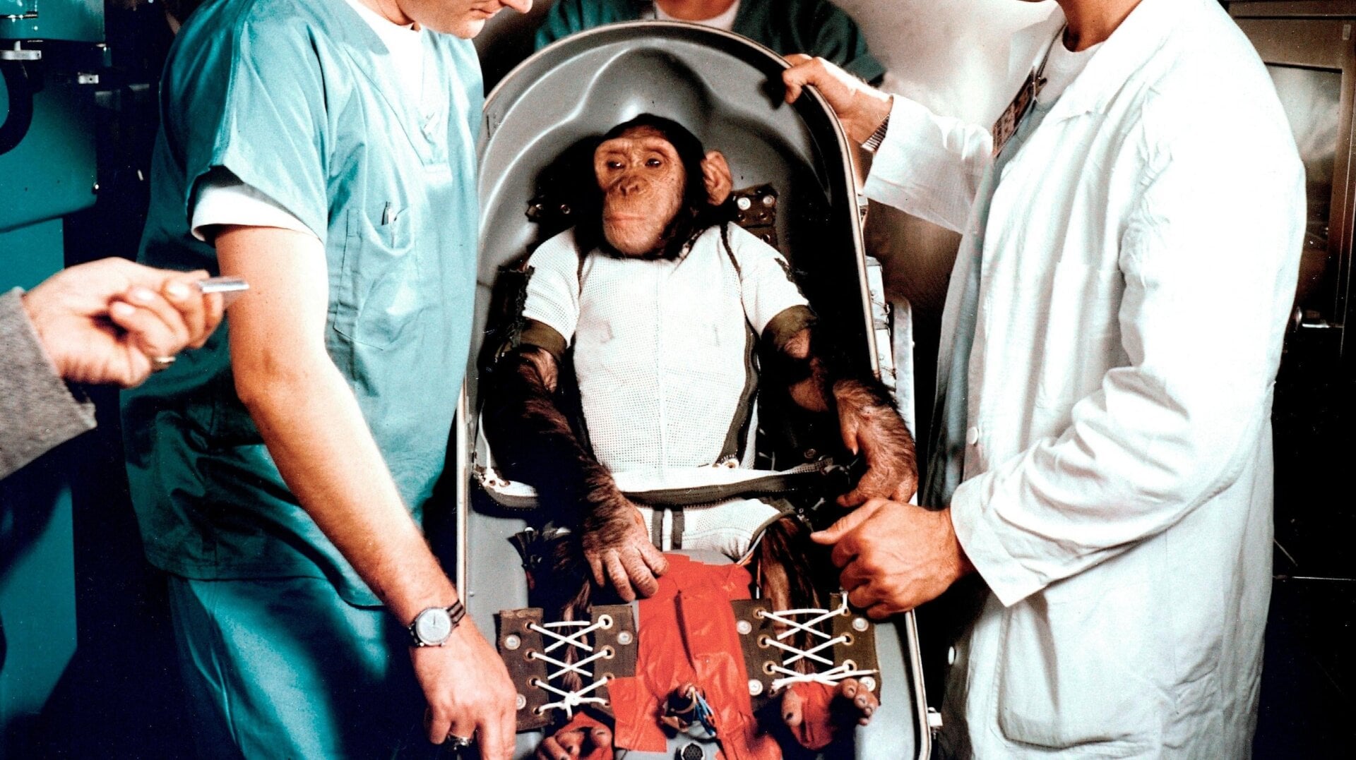 Ham, der junge Schimpanse, mit Trainern in Cape Canaveral, Florida, am 31. Januar 1961.