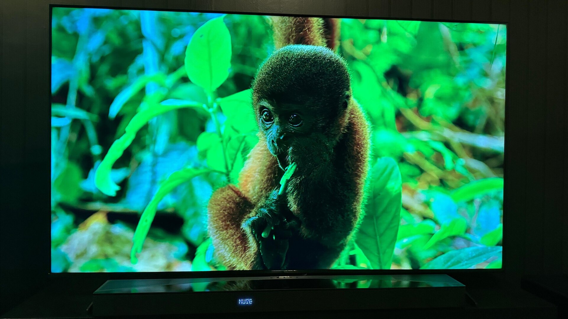 Auf den ersten Blick bietet der S5 von TCL das beste Preis-Leistungs-Verhältnis in der Direct-LED-TV-Reihe von TCL.