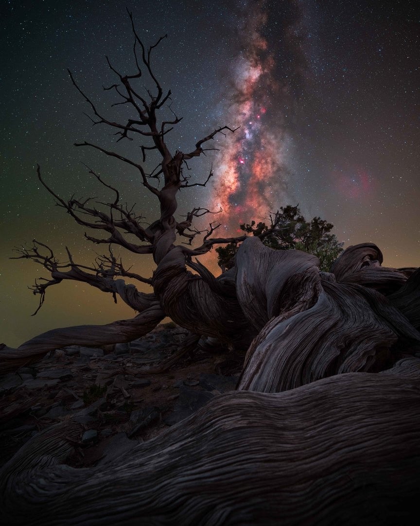 Photo: Benjamin Barakat