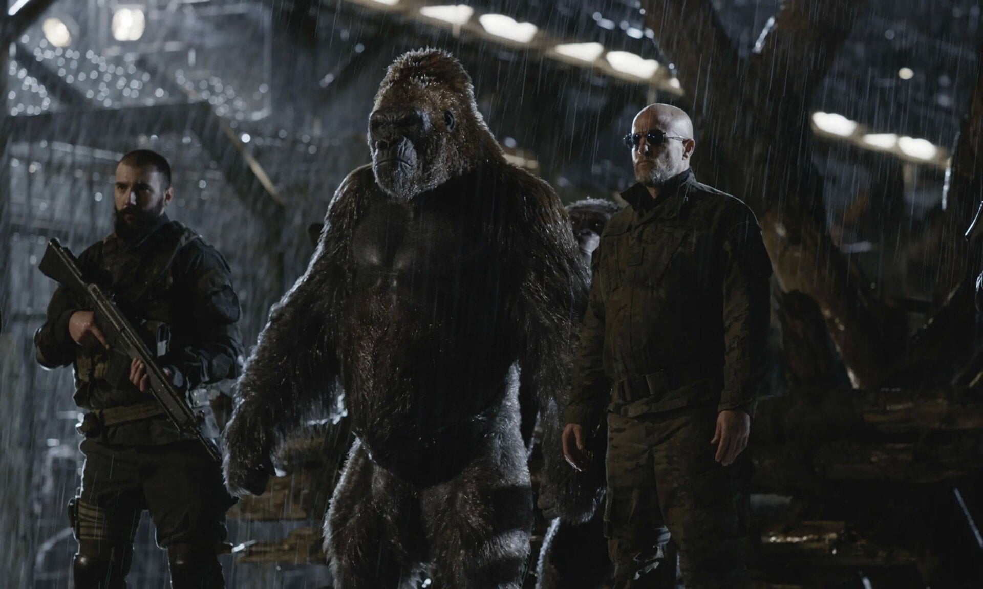 Einige Affen haben die Seiten gewechselt. 