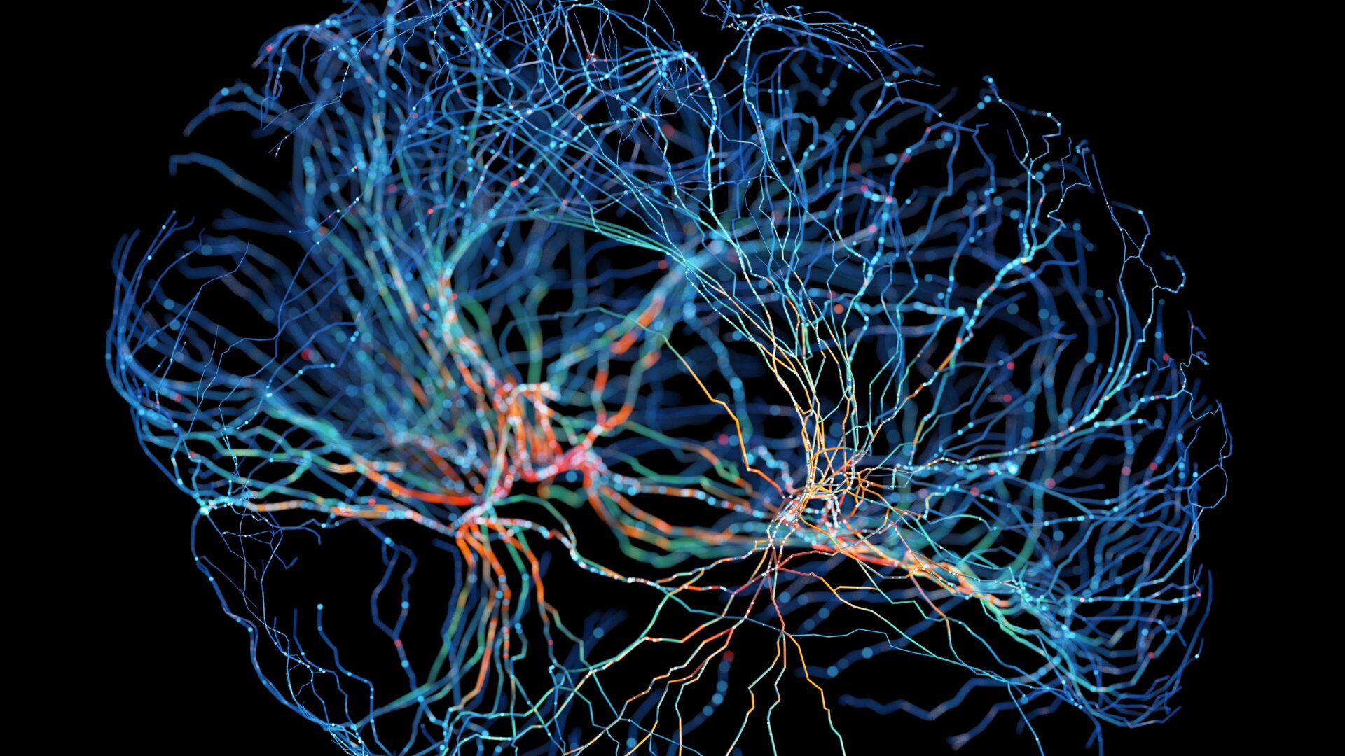 Eine Abbildung der Neuronen des Gehirns.