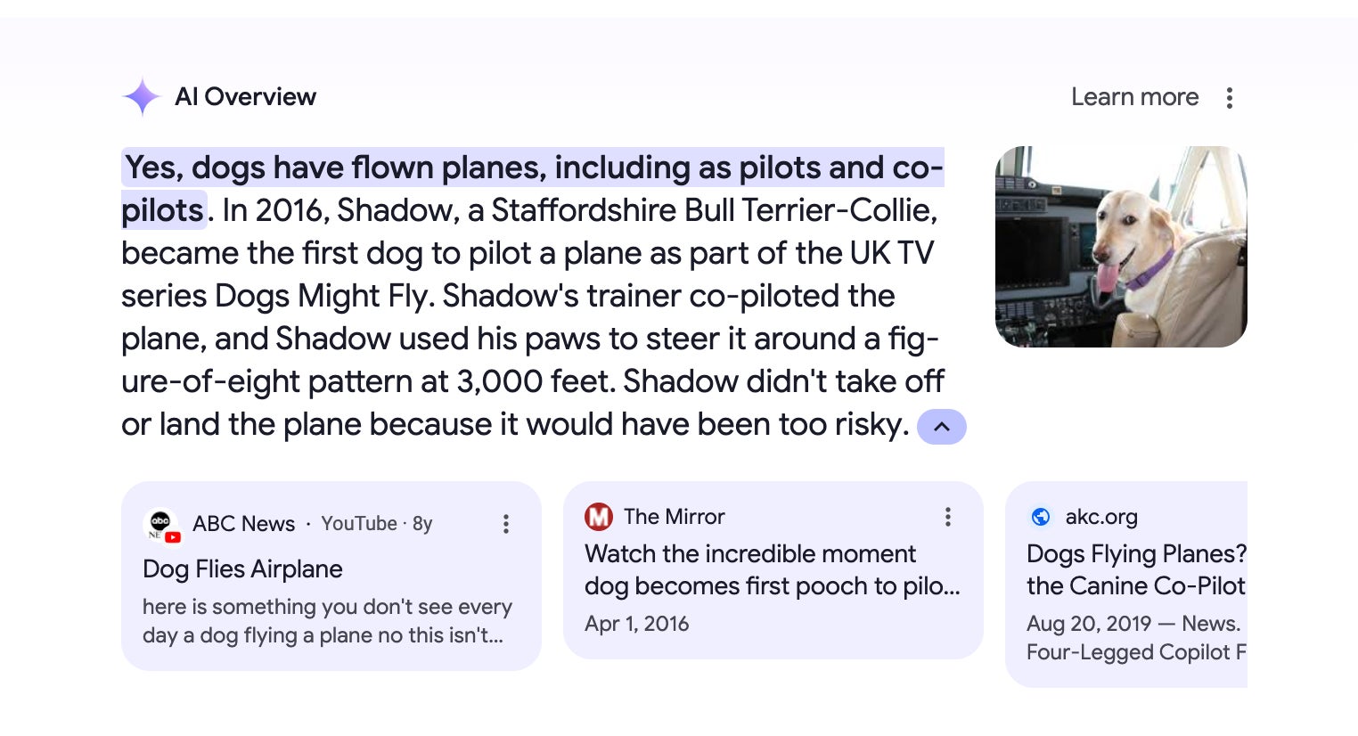 Screenshot: Google