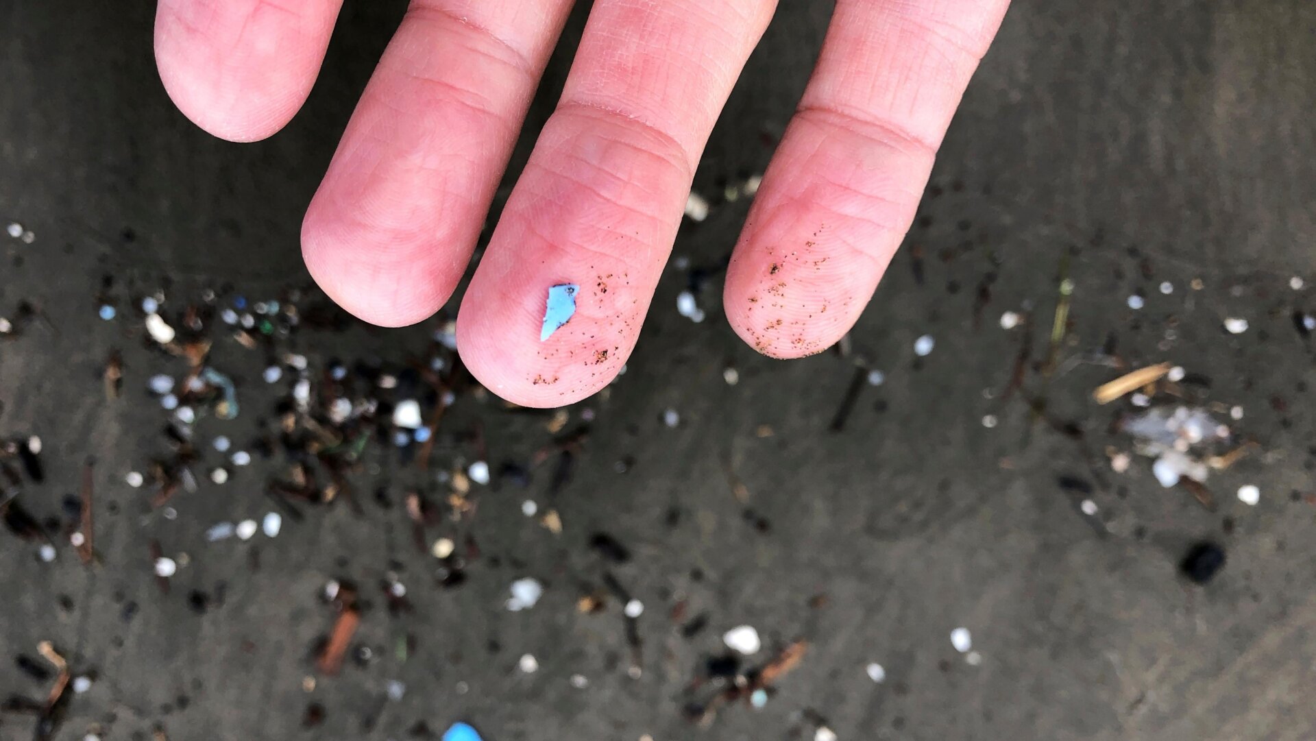 Mikroplastikmüll, der am 19. Januar 2020 in Depoe Bay, Oregon, angeschwemmt wurde.