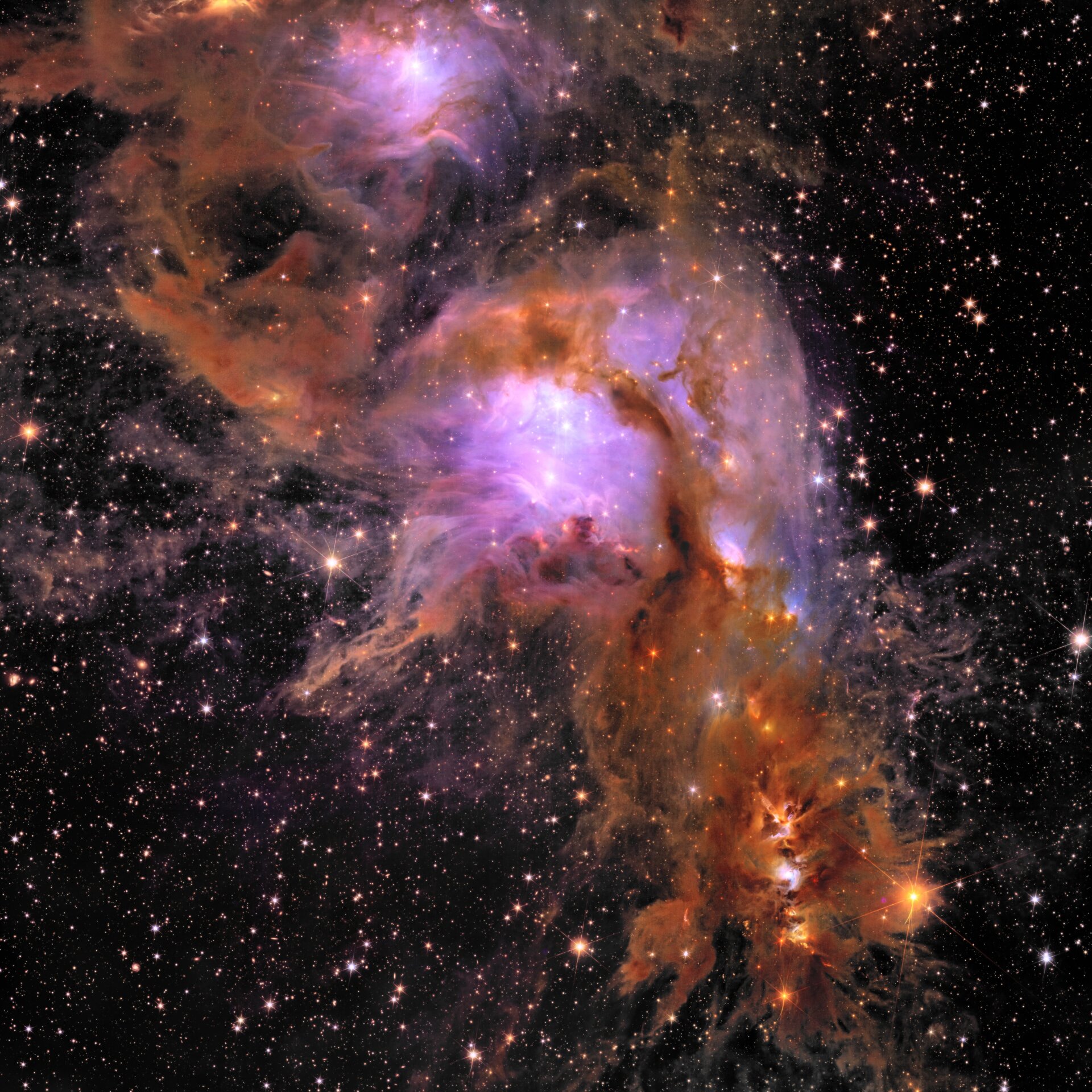Die Sternentstehungsregion Messier 78.