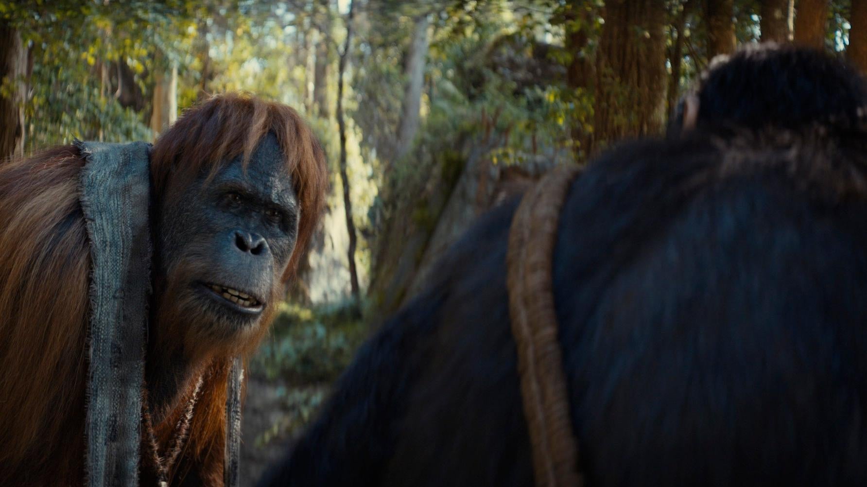 Ruhe in Frieden, Raka.