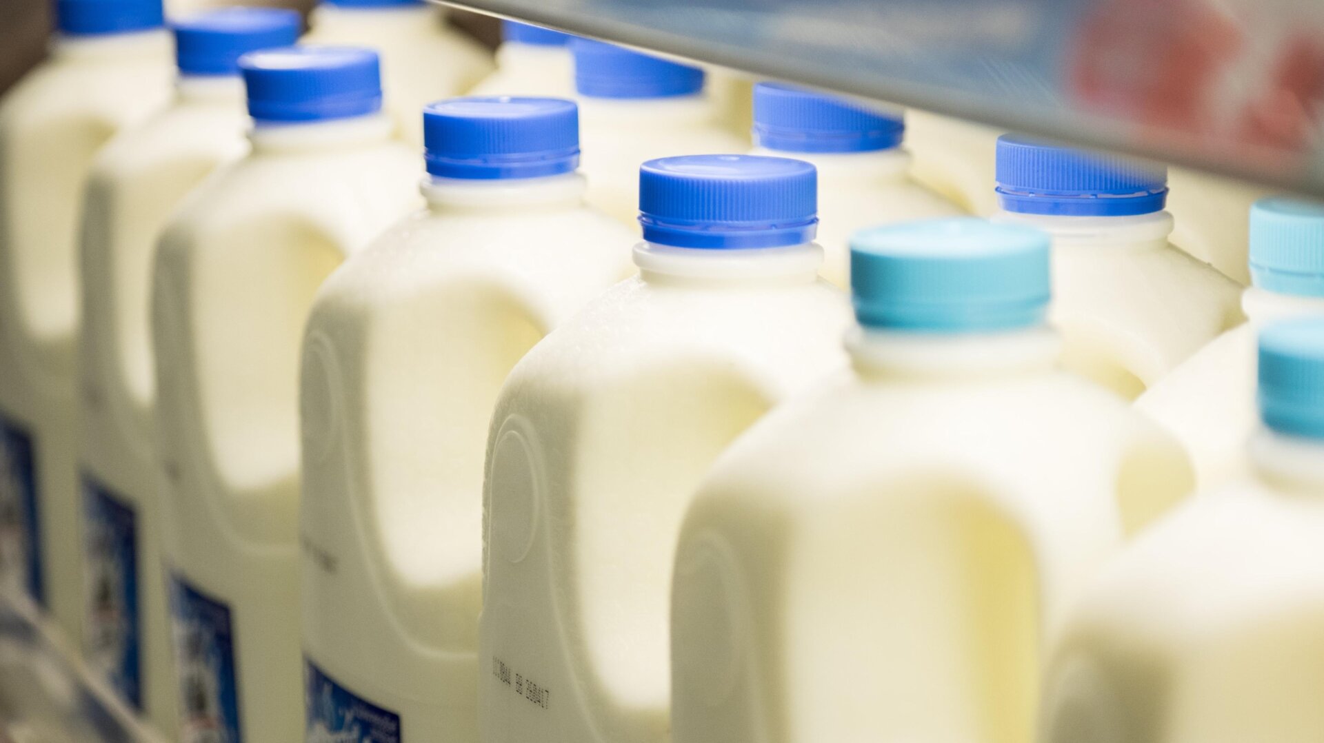 Milch wird in einem Einzelhandelsgeschäft verkauft.