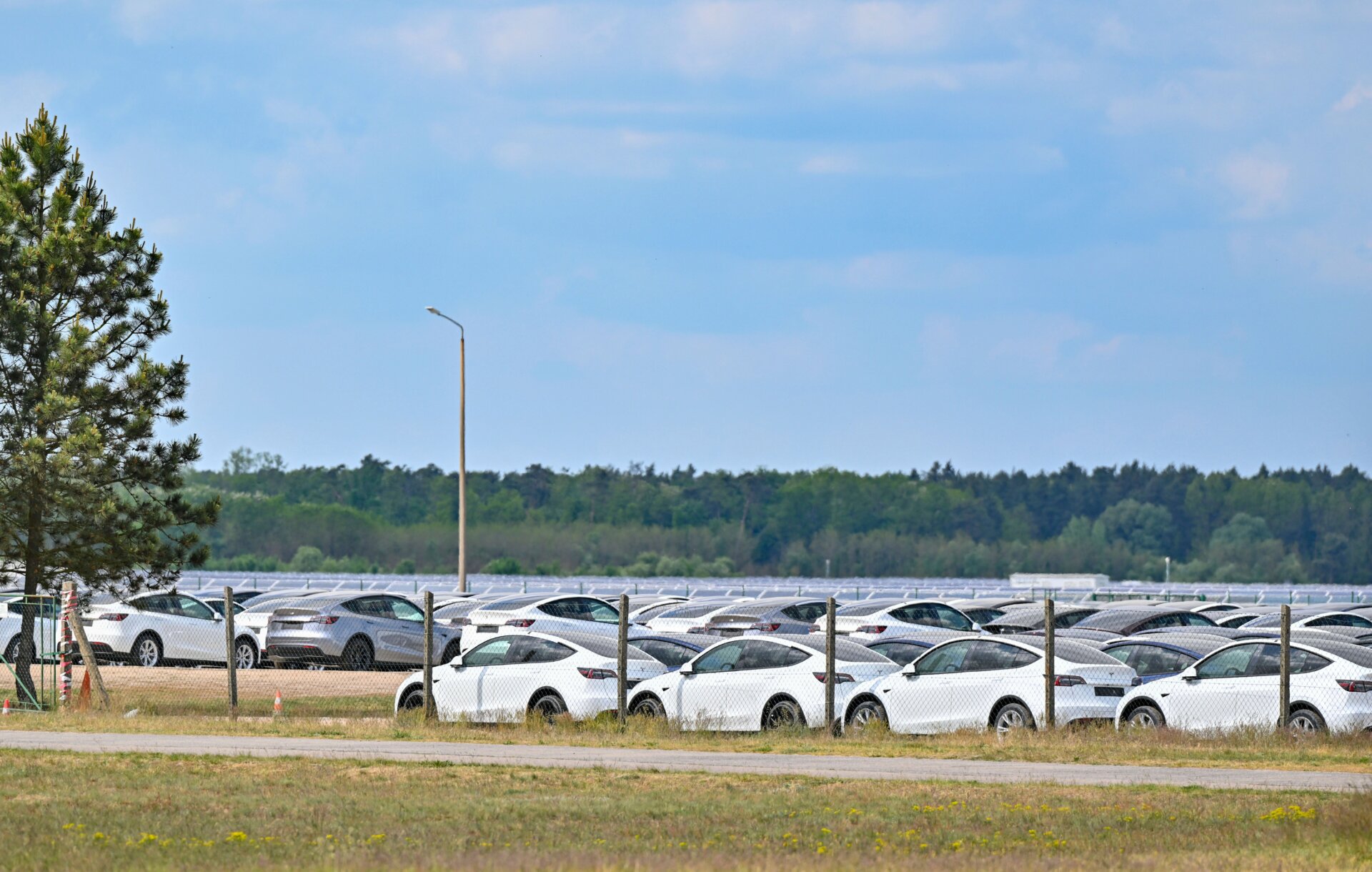 Neue Elektrofahrzeuge des Modells Y stehen am 10. Mai 2024 auf dem Flugplatz Neuhardenberg. 
