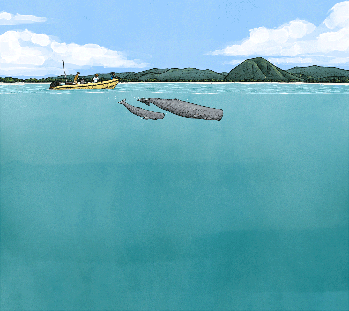 Eine Animation, die den Prozess des Projekts CETI zeigt.