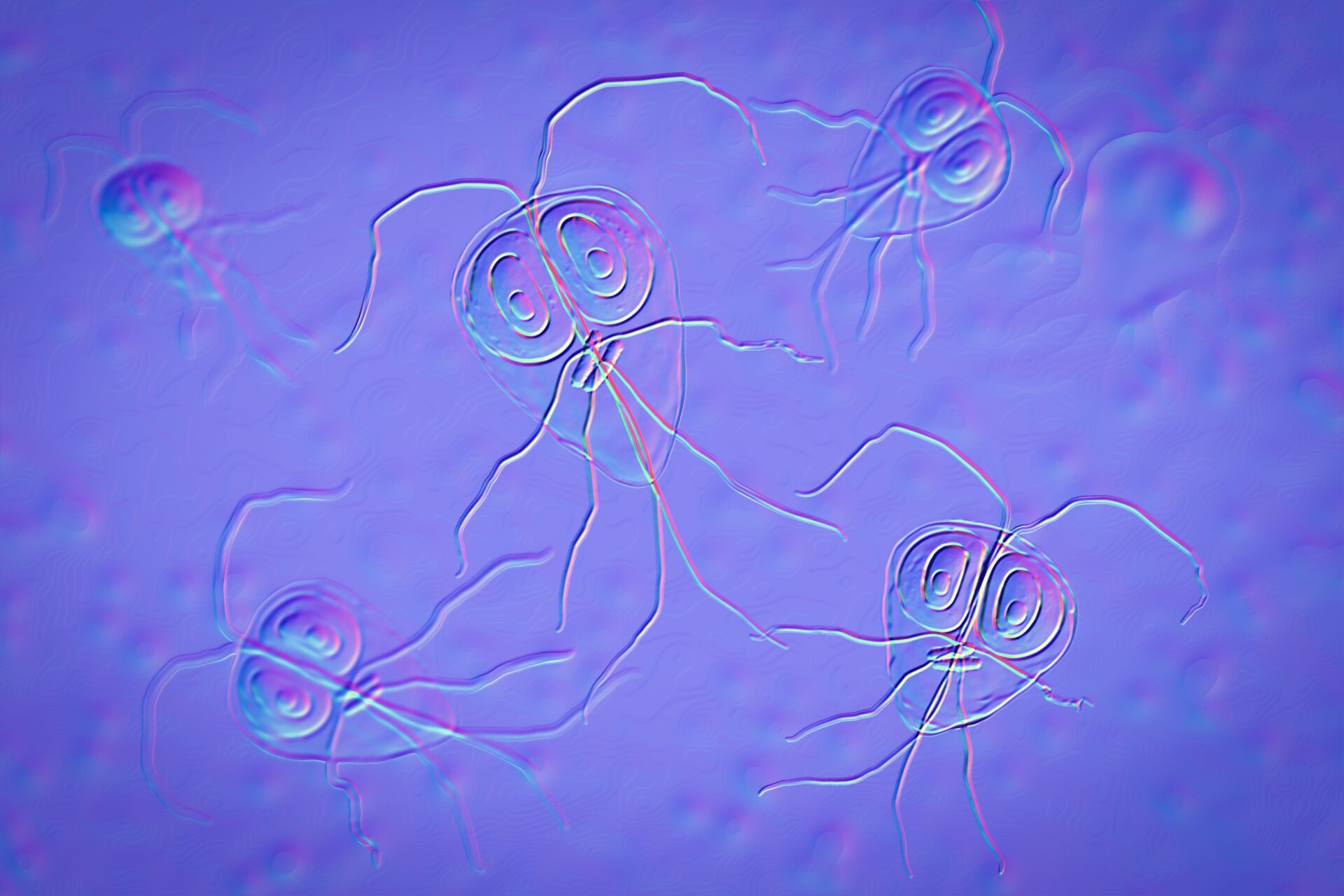 Eine Illustration von Giardia-Parasiten.