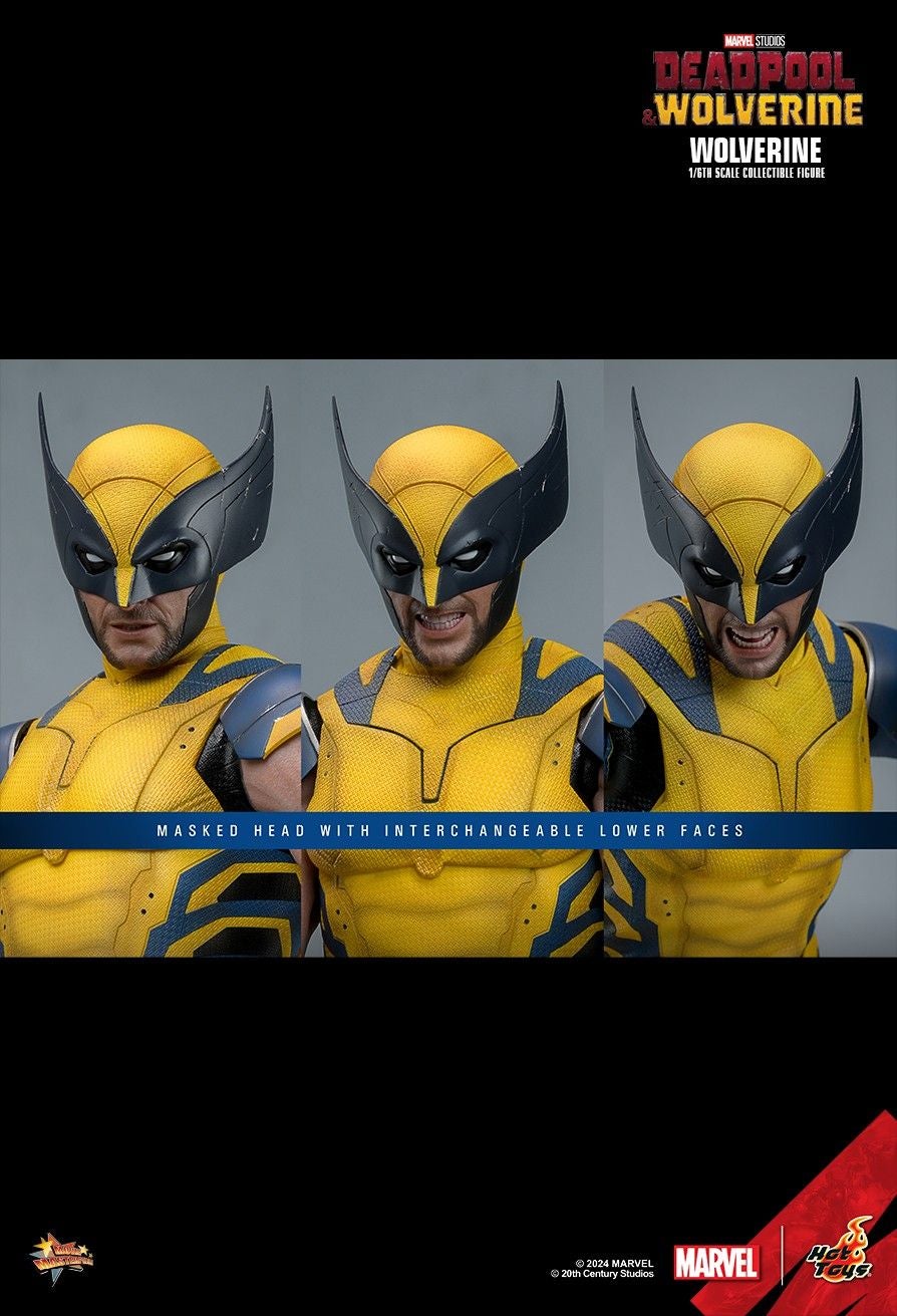 Image: Hot Toys