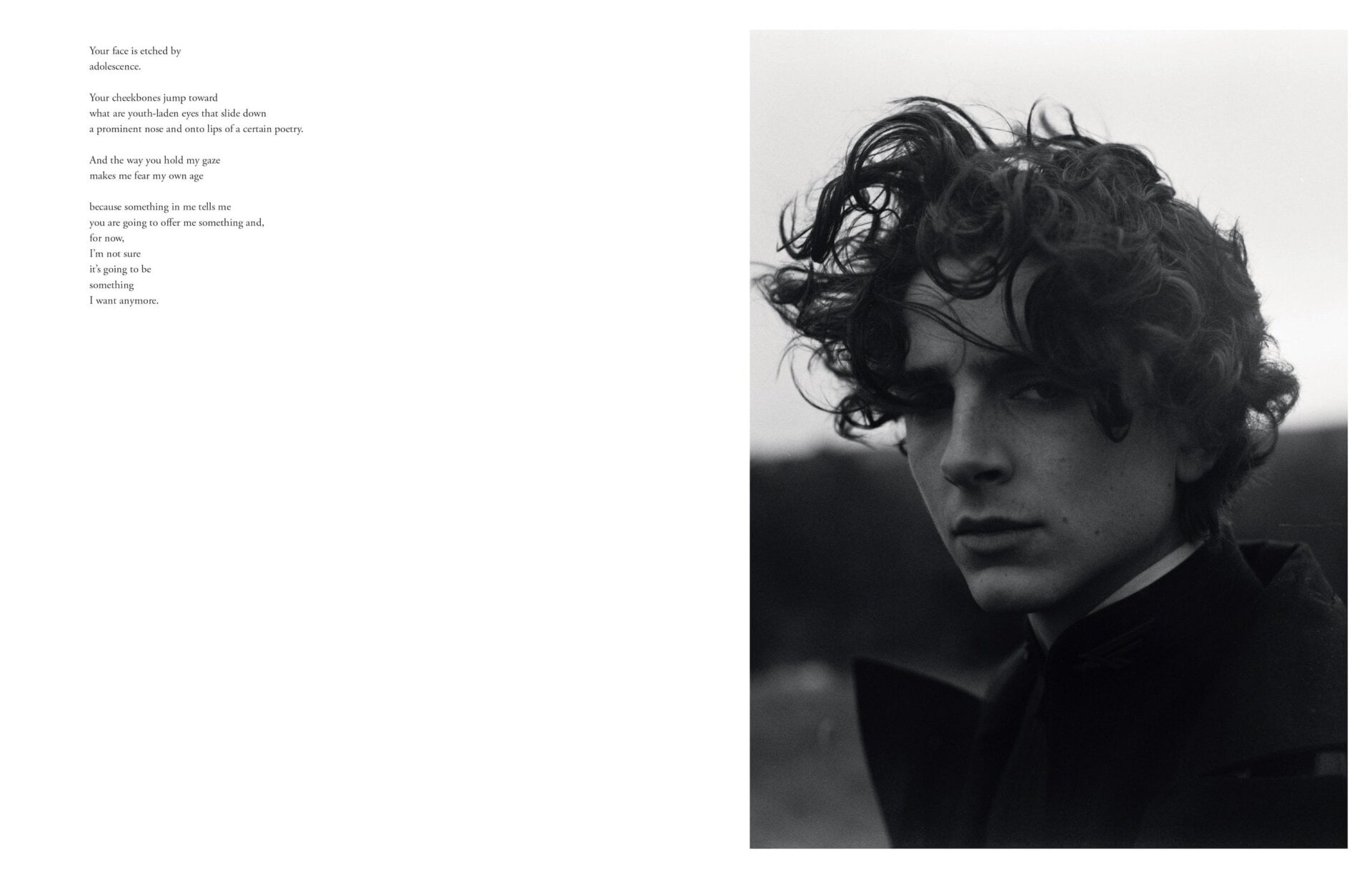 Image: Insight Editions/Greig Frasier