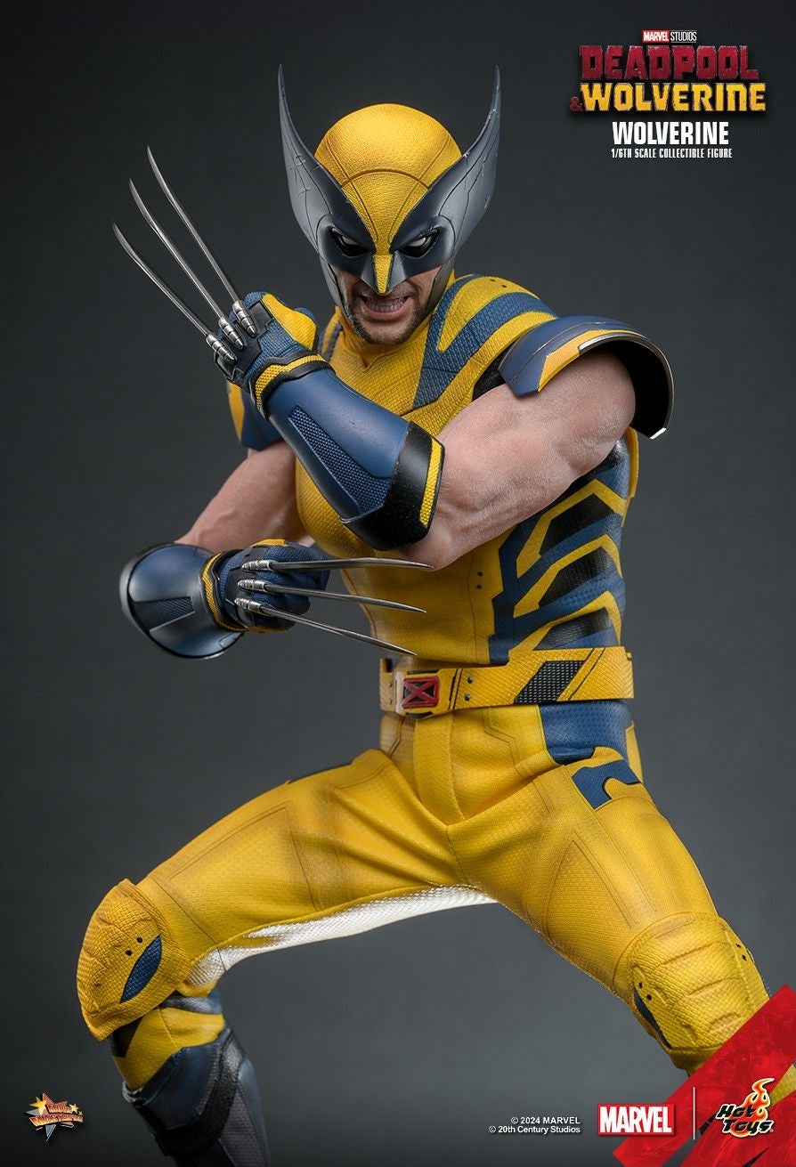 Image: Hot Toys