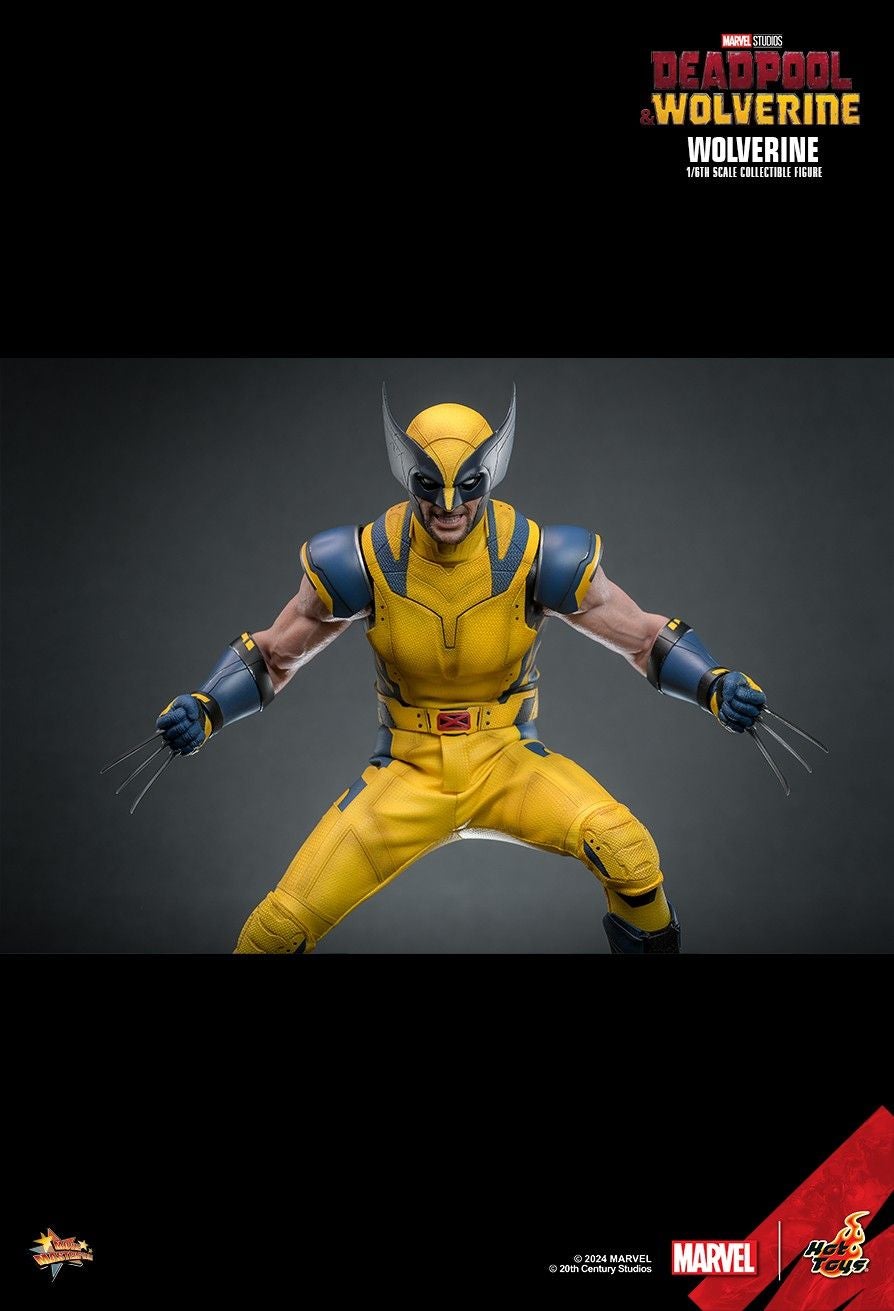 Image: Hot Toys