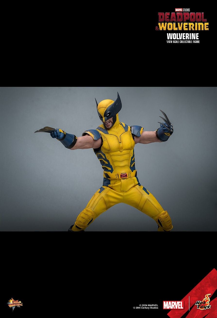 Image: Hot Toys