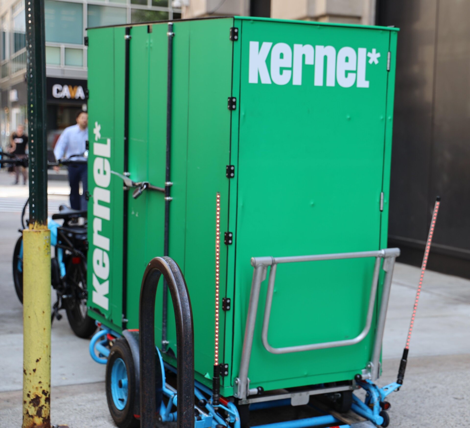 Ein Lama außerhalb des Kernels, bereit zum Entladen.