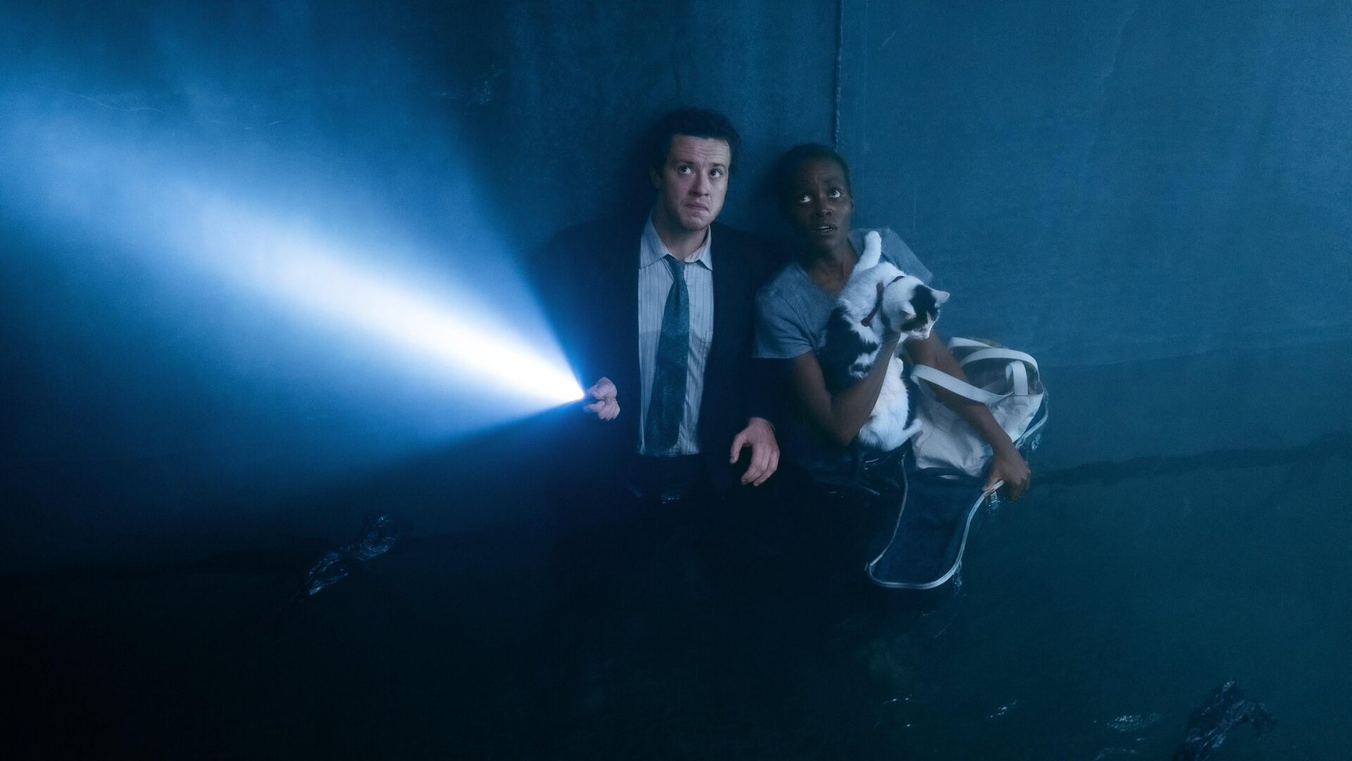 SCHÜTZEN SIE FRODO.