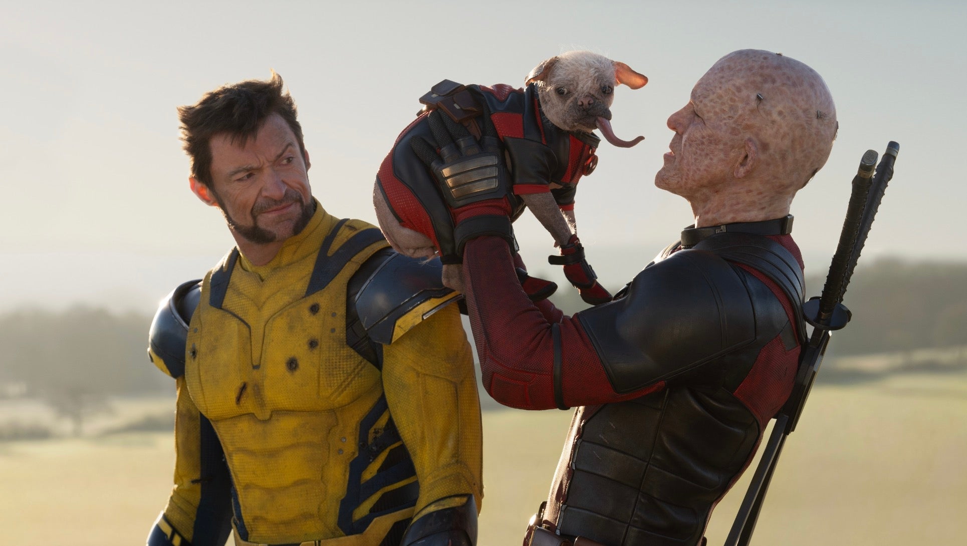 Wolverine, Deadpool und Dogpool.