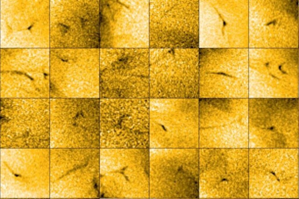 Solar Orbiter Captured Images Of Tiny Jets Of Material Escaping From The Sun’s Outer Atmosphere.