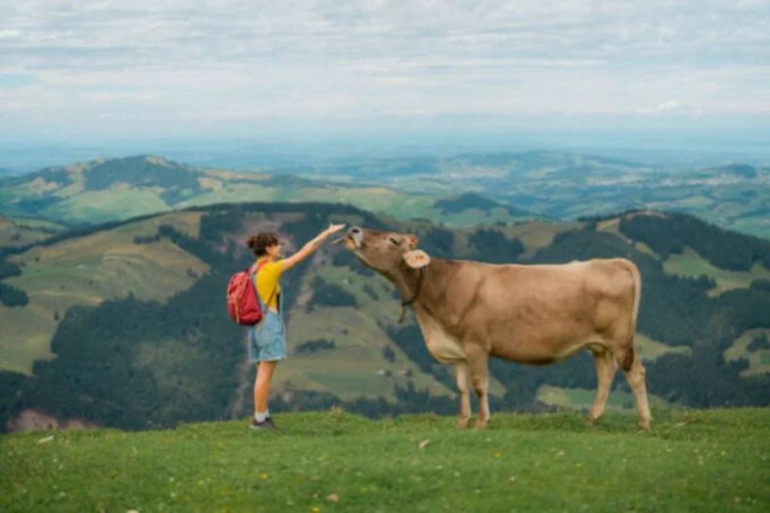 Istock (3)