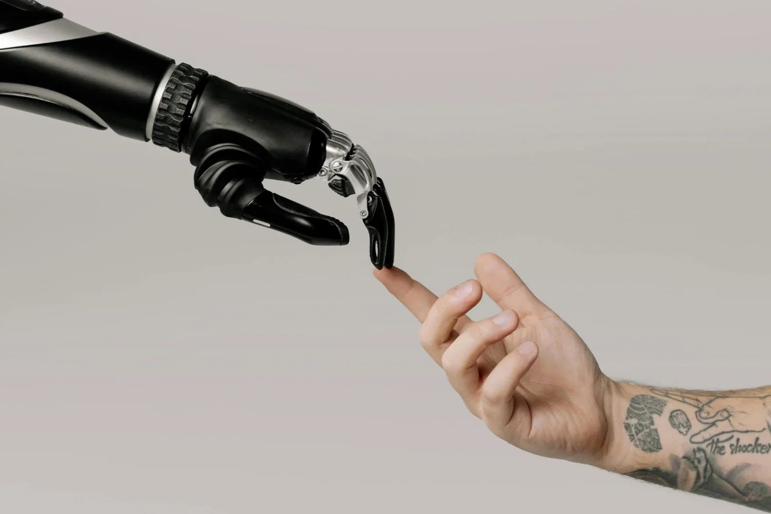 Gizmodo (1)