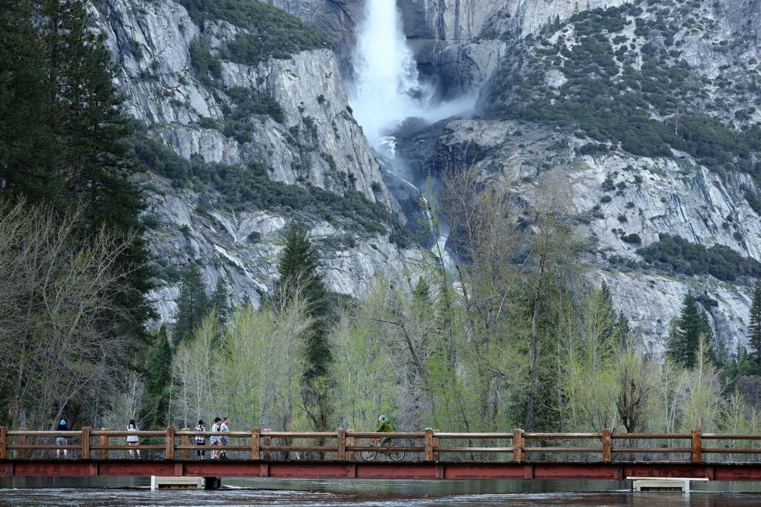 Reisende verschieben oder stornieren Reisen zu US-Nationalparks aufgrund von Unsicherheiten bezüglich Personal und Parkpflege.