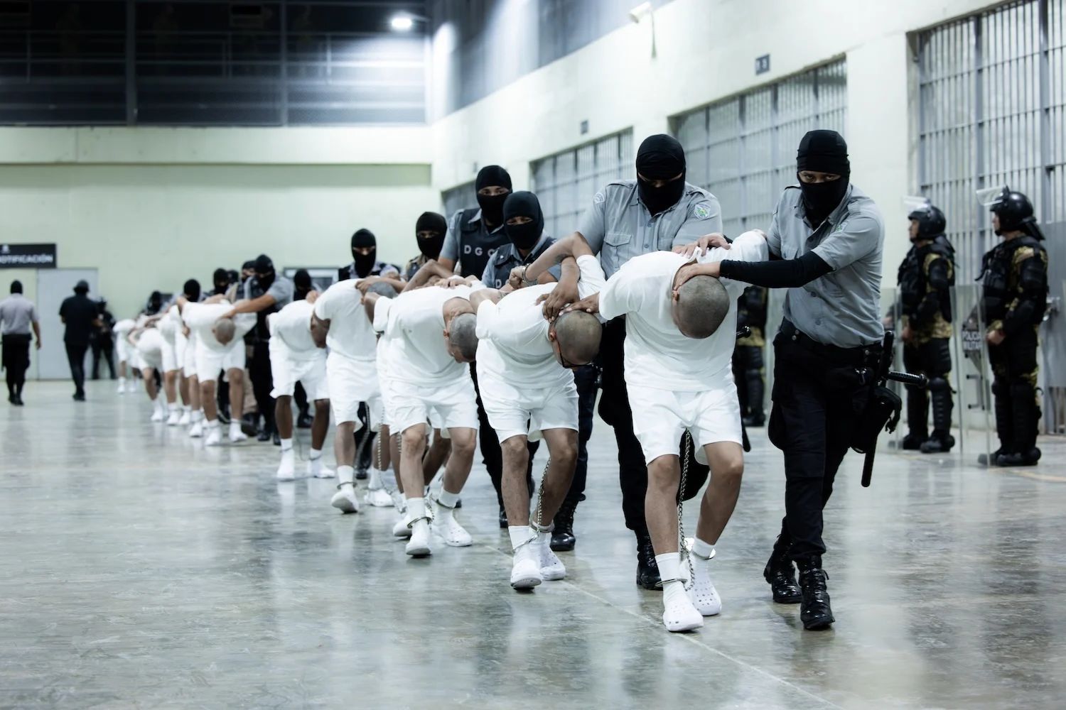 Ein Foto, das vom Präsidenten von El Salvador veröffentlicht wurde und angeblich Menschen zeigt, die aus den USA nach El Salvador abgeschoben wurden, in einem Gefängnis für Personen, die wegen „Terrorismus“ angeklagt sind. Ein Foto, das vom Präsidenten von El Salvador veröffentlicht wurde und angeblich Menschen zeigt, die aus den USA nach El Salvador abgeschoben wurden, in einem Gefängnis für Personen, die wegen „Terrorismus“ angeklagt sind.