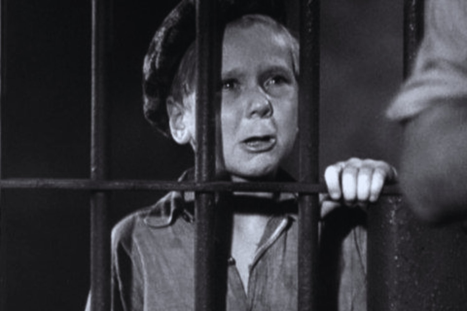 Wissenschaft kennt die Antwort: Dieser Film bricht jedem das Herz